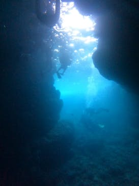 武藤潜水に投稿された画像（2024/9/30）