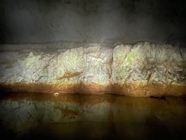 秋芳洞に投稿された画像（2024/9/30）