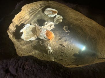 CAVE OKINAWAに投稿された画像（2024/9/30）