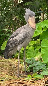 神戸どうぶつ王国に投稿された画像（2024/9/30）