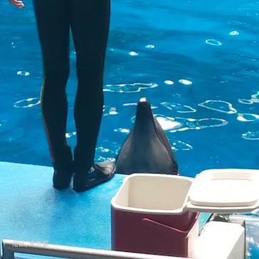 マクセル アクアパーク品川に投稿された画像（2024/9/30）