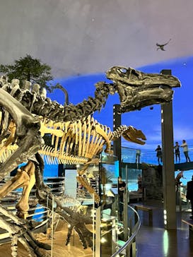 福井県立恐竜博物館に投稿された画像（2024/9/30）