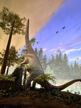 福井県立恐竜博物館に投稿された画像（2024/9/30）