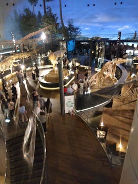 福井県立恐竜博物館に投稿された画像（2024/9/30）