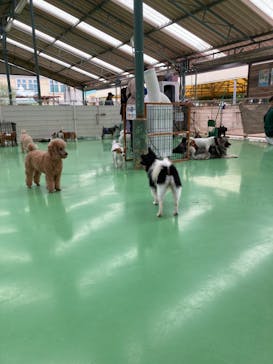 つくばわんわんランドに投稿された画像（2024/9/30）