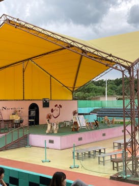 つくばわんわんランドに投稿された画像（2024/9/30）