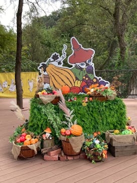 ムーミンバレーパークに投稿された画像（2024/9/30）