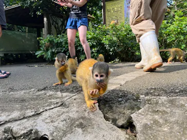 石垣やいま村に投稿された画像（2024/9/30）