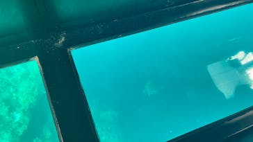 川平マリンサービスに投稿された画像（2024/9/30）