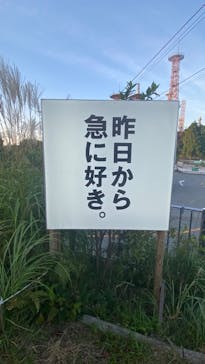 自然体感展望台 六甲枝垂れに投稿された画像（2024/9/30）