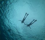 青の洞窟専門店　沖縄ダイビングショップ和に投稿された画像（2024/9/30）