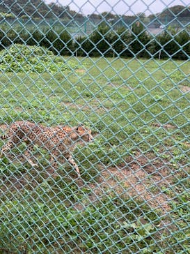 岩手サファリパークに投稿された画像（2024/9/30）