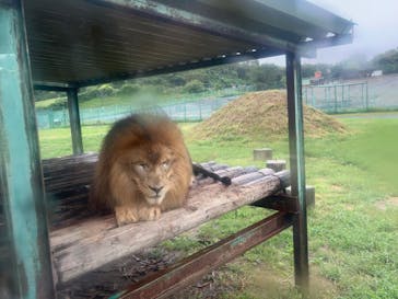 岩手サファリパークに投稿された画像（2024/9/30）