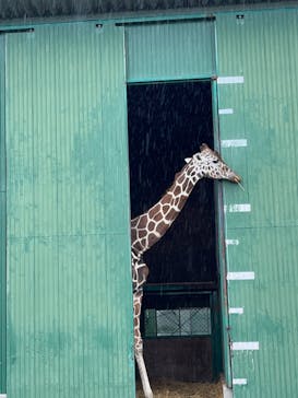 岩手サファリパークに投稿された画像（2024/9/30）