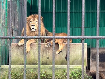 東北サファリパークに投稿された画像（2024/9/30）
