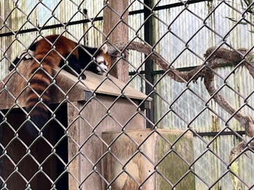 東北サファリパークに投稿された画像（2024/9/30）