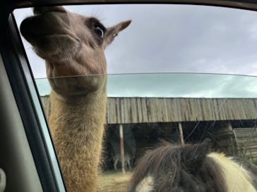 東北サファリパークに投稿された画像（2024/9/30）
