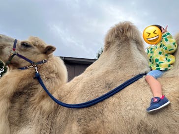 東北サファリパークに投稿された画像（2024/9/30）