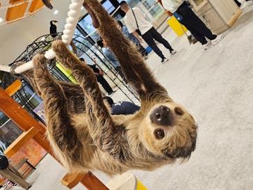 アニタッチ 東京ドームシティに投稿された画像（2024/9/30）