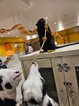 アニタッチ 東京ドームシティに投稿された画像（2024/9/30）