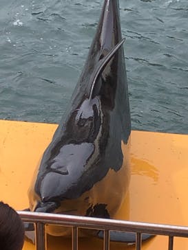 越前松島水族館に投稿された画像（2024/9/30）