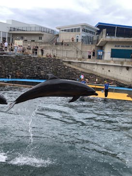 越前松島水族館に投稿された画像（2024/9/30）