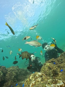 武藤潜水に投稿された画像（2024/10/1）