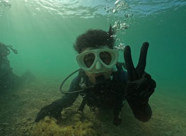 武藤潜水に投稿された画像（2024/10/1）