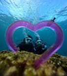 青の洞窟専門店　沖縄ダイビングショップ和に投稿された画像（2024/10/1）