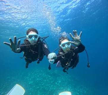 青の洞窟専門店　沖縄ダイビングショップ和に投稿された画像（2024/10/1）