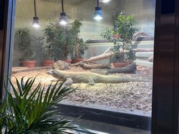 名古屋市東山動植物園に投稿された画像（2024/10/1）