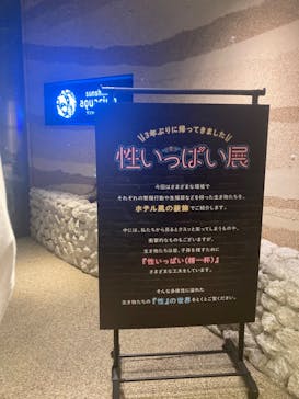 サンシャイン水族館に投稿された画像（2024/10/1）