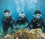 沖縄マリンサービス碧に投稿された画像（2024/10/1）