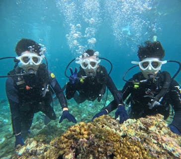 沖縄マリンサービス碧に投稿された画像（2024/10/1）