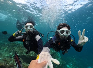 武藤潜水に投稿された画像（2024/10/1）