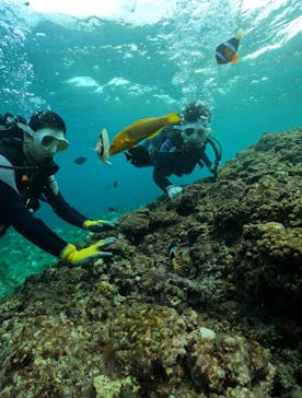 武藤潜水に投稿された画像（2024/10/1）