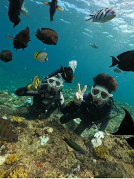 武藤潜水に投稿された画像（2024/10/1）