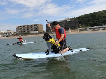 Pono Outdoor Sport Laboに投稿された画像（2024/10/1）