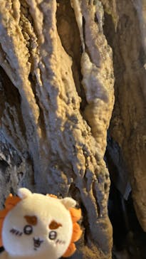 石垣島鍾乳洞に投稿された画像（2024/10/1）