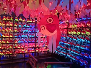 NARA KINGYO MUSEUMに投稿された画像（2024/10/1）