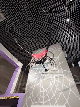 特別展「昆虫 MANIAC」（国立科学博物館）に投稿された画像（2024/10/1）