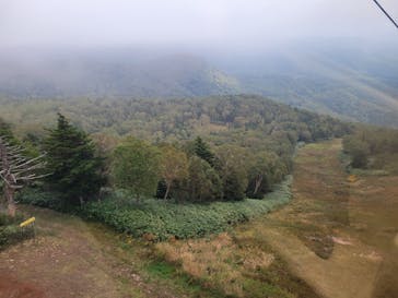 志賀高原ゴールデンラインに投稿された画像（2024/10/1）