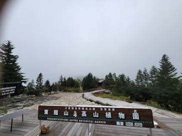 志賀高原ゴールデンラインに投稿された画像（2024/10/1）