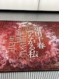 塩田千春　つながる私（アイ）　@大阪中之島美術館に投稿された画像（2024/10/1）