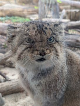 那須どうぶつ王国に投稿された画像（2024/10/1）