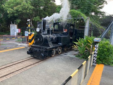 ネオパークオキナワに投稿された画像（2024/10/1）