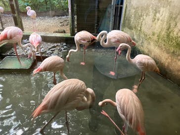 ネオパークオキナワに投稿された画像（2024/10/1）