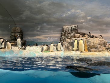 名古屋港水族館に投稿された画像（2024/10/1）