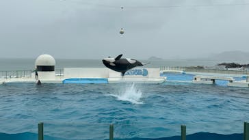 鴨川シーワールドに投稿された画像（2024/10/1）