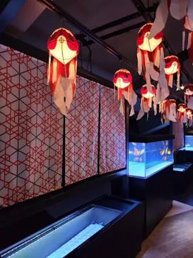 すみだ水族館に投稿された画像（2024/10/1）